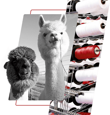 Gefärbtes Polyestergarn